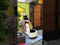 الاكلة دى مشكلتها الوحيدة انها بتحتاج لزيت غزير الاكلة دى مشكلتها الوحيدة انها بتحتاج لزيت غزير