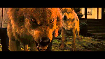 Twilight wolf scenes