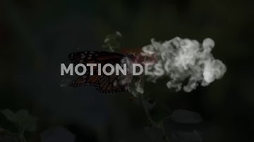 Logo Animation || Logo Intro No-18 || Miyazi Enterprise