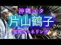 片山鶴子さん 霊視チャネリング【収益チャリティ釧路湿原鳥類＆犬猫保護活動に寄付】