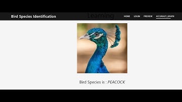 Bird Species Identification Using Deep Learning | Python Final Year Project
