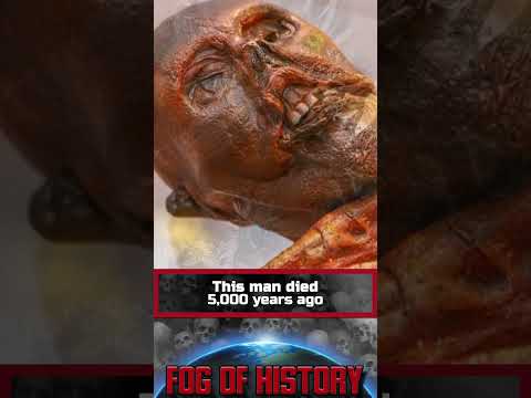 This man died more than 5,000 years ago. Ötzi The Iceman | FOG OF HISTORY