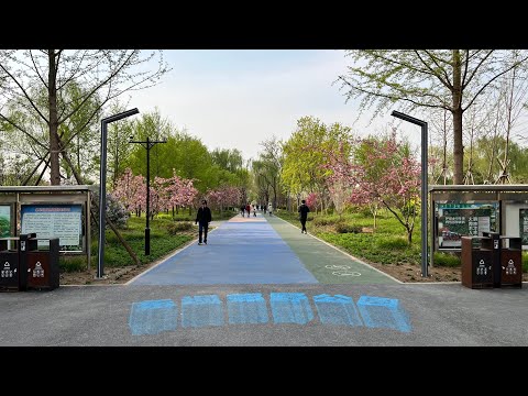 Chaoyang Dongba Rural Park 10km Spring Running ?? ?????? ??