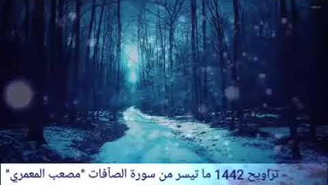 الشيخ مصعب المعمري. ماتيسر من القرآن الكريم. سورة الصافات..