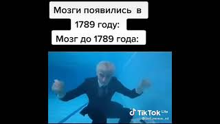 Мозг до 1789 года #мемы #мем