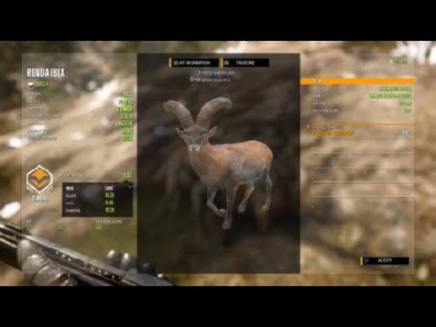 hunter call of the wild diamond hunter call of the wild diamond