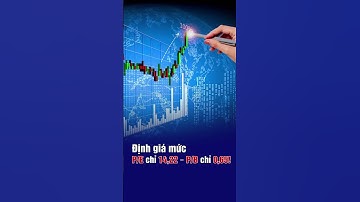 Mã cổ phiếu mở ra cơ hội vàng cho nhà đầu tư thông tháiXu hướng cổ phiếu tiềm năng năm nay là gì?