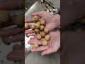 Longan Seed Remover / Longan Deseeding Machine #vegetableprocessing #fruitpittingmachine