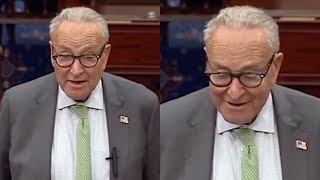 Chuck Schumer CAUGHT Lying In The Most Ridiculous Way Possible On Live TV