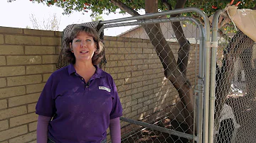 How to Keep the Dogs From Digging & Getting Out of the Pen : Dog Behavior & Training