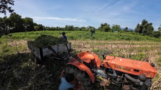 A Day Hauling Grass for My Cows with a Mini Tracto