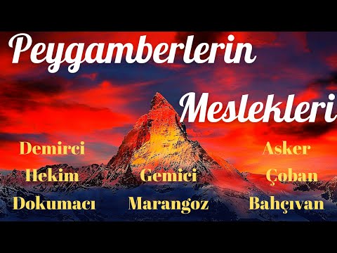 Peygamberlerin Meslekleri... Çoban, bahçıvan, hekim, asker, demirci, marangoz vs.