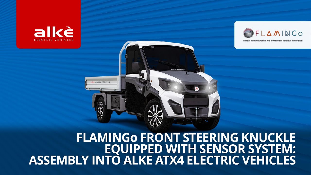 Flamingo project final video