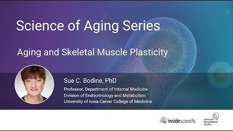 Aging and Skeletal Muscle Plasticity