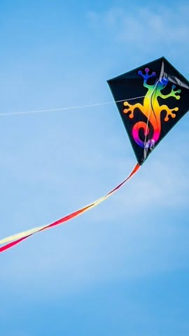 Patang chagave bhayda