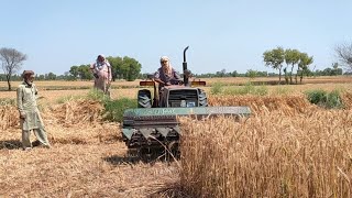 Massey Ferguson 240 | Wheat Reaper Machine | Wheat Cutting Machine #tractor #machine