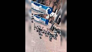 Kalbi Güzel Insanlar Çok Şükür Ki Hala Var 🙏🏻💜 🤗
