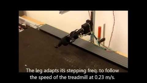 Dung Beetle Robot Leg: Adapting stepping freq. to different environmental conditions