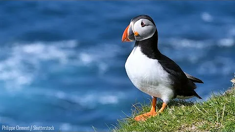 Bonne fête du Canada!