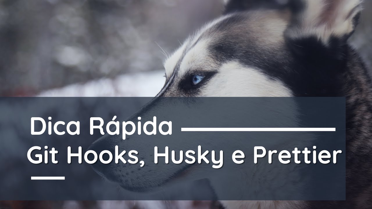Dica rápida: Git Hooks com Husky e qualidade de código com Prettier ...