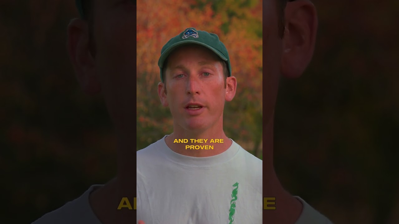 What Are Adaptogens: Plants, Herbs and Mushrooms