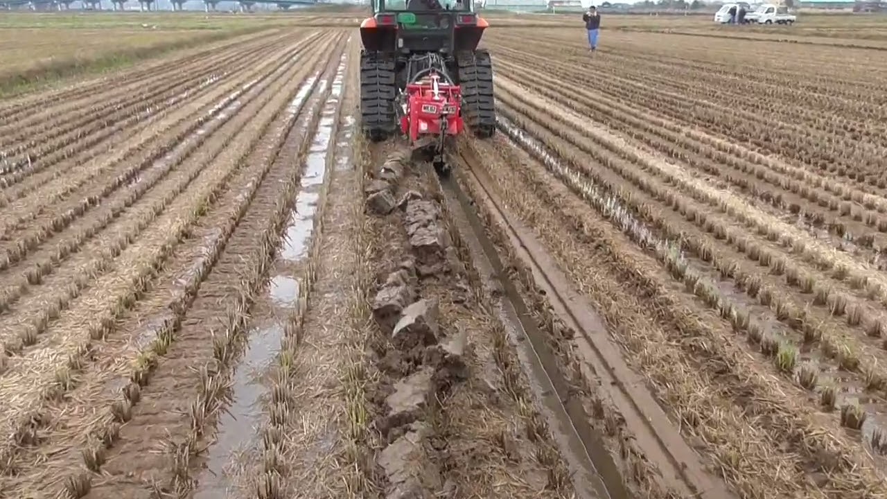 ニプロ　溝切　MK152