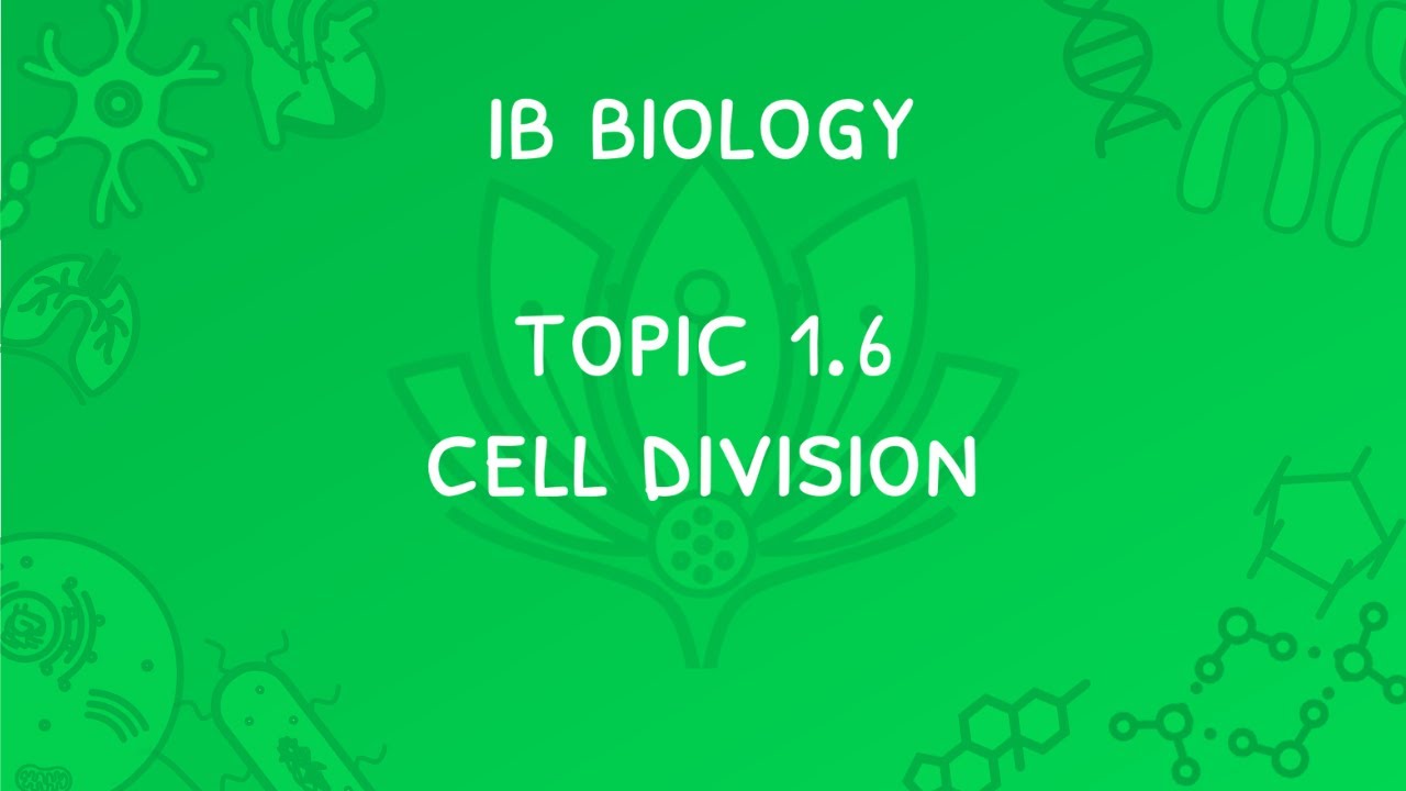 IB Biology 1.6 & 1.1 Slides: Mitosis & Stem Cells