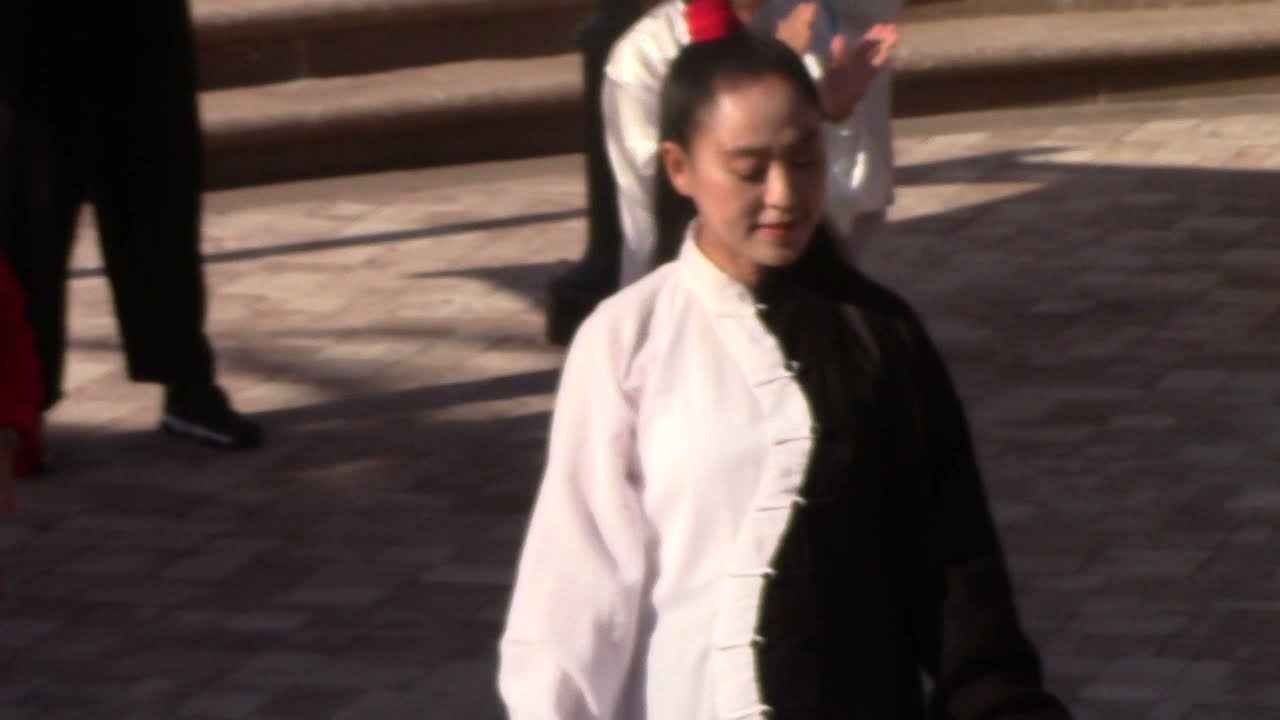 Master Liyun Yao's Energy Numbers Tai Chi