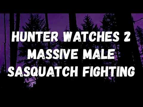 HUNTER WATCHES 2 MASSIVE MALE SASQUATCH FIGHTING