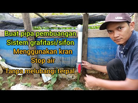 Video: Di mana sebagian besar lubang pembuangan?