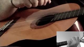 Acoustic Guitar Beginner 5 months Training Chords