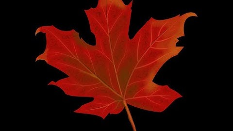 Get a Canadian IP Address Using a VPN