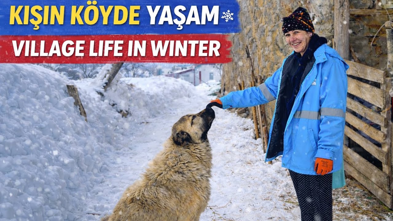 Life in a Village | Anne ve kızın zorlu köy yaşamı  | BELGESEL FİLM | DERSIM OVACIK | 