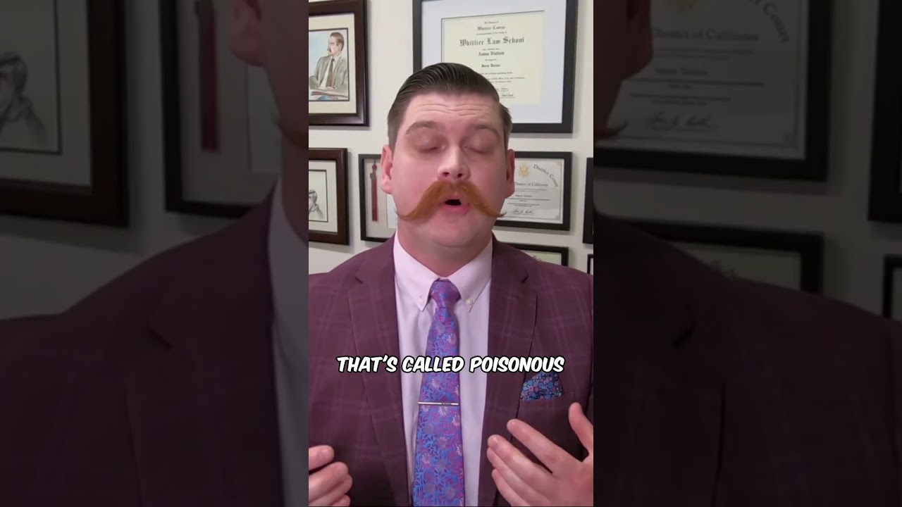 The Poison Tree Doctrine Explained