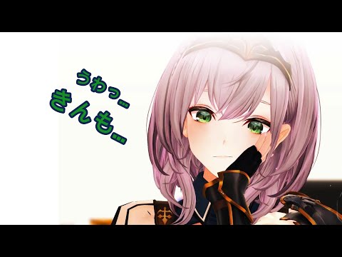 【どーっちどっちの歌】どっちもどっちの歌【白銀ノエル 百鬼あやめ(?)/ ホロライブ】