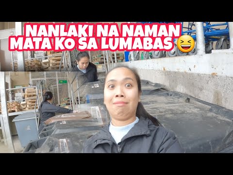 KINIBOT NA NAMAN NG STAFF DUMPSTER DIVER NG FINLAND