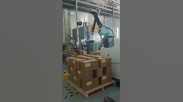 Freely define your palletizing path   #palletizer #cobot #stacking #automation