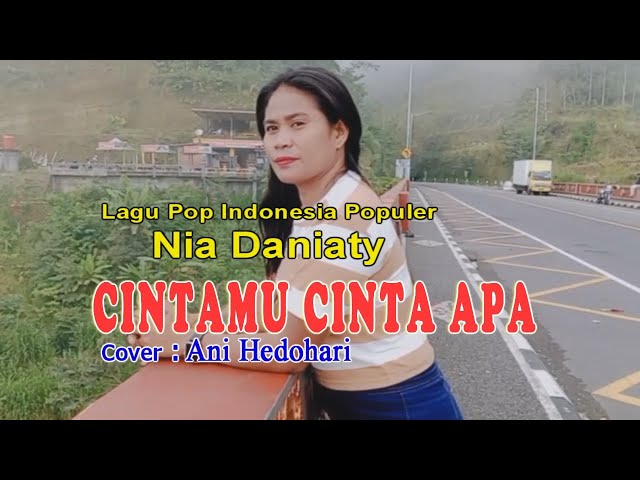 CINTAMU CINTA APA-(Nia Daniaty)-Cover-Ani Hedohari Channell(AHC)Kupang class=