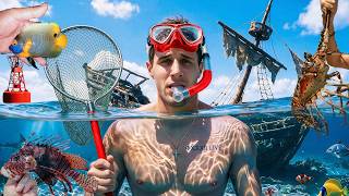 Diving SUNKEN SHIPWRECKS For SEA CREATURES!