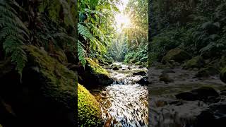 Beautiful Stream Flowing Into a River 🌿💧 | Amazing Nature #Shorts #shortsfeed