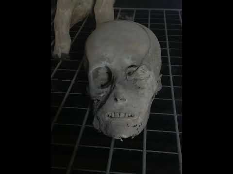 Video: Dónde ver momias y esqueletos en Italia