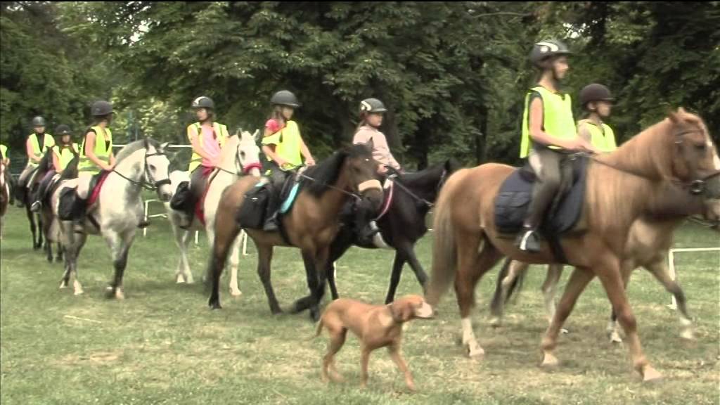 Hadak Útja Lovas Sportegyesület -Hortobágyi túra.1.