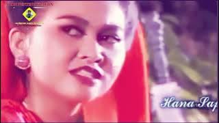 ARYA KAMANDANU PART 16-17~~AJIAN SEGORO GENI~~NYAI TUNJUNG BIRU