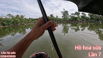 Fishing | Câu Đài | Câu Cá Chép Hồ Hoa Sữa Lần Thứ 7 | Nghiện Câu TV
