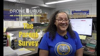 The Parent Survey