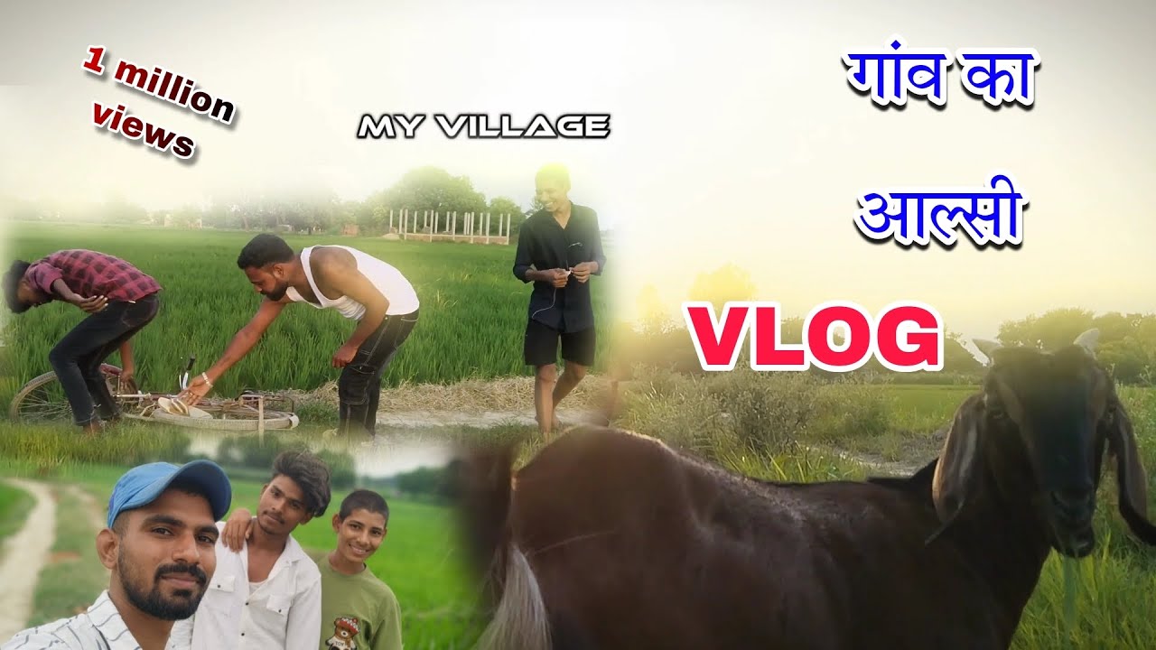 A day in my life first vlog ll आल्सी ब्लॉग ll my first vlog on YouTube ...
