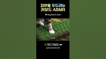 🌿 자연을 두드리는 키보드 ASMR 🎧 | AI Nature Keyboard #aiasmr #asmr #satisfying #relaxing