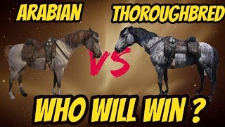 RDR 2 Arabian VS Thoroughbred! Who Will Win??
