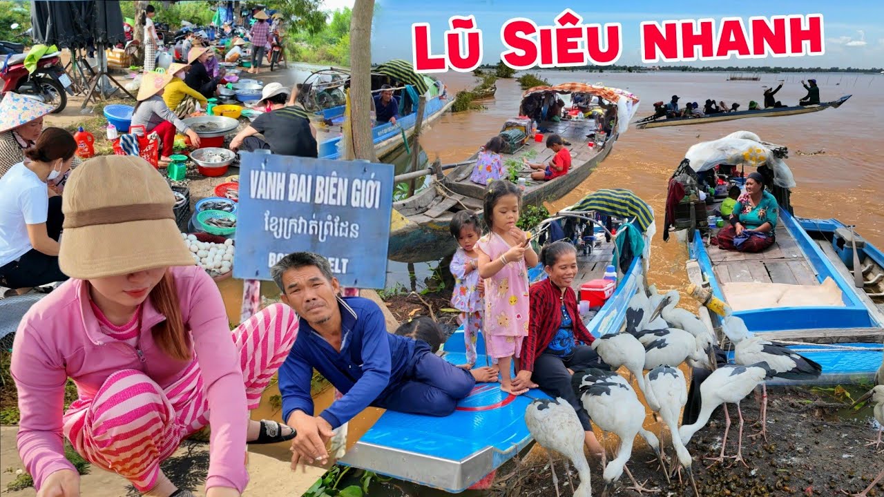 Lũ siêu nhanh cá đồng đại hạ giá biên giới Campuchia - Chạy đồng mưu sinh mùa nước nổi