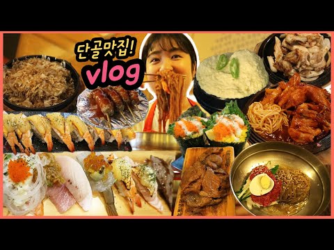[먹방 브이로그] 알려주기 싫은 인생맛집 대공개★ (묵은지 초밥, 새우롤, 바베큐치킨, 육쌈냉면, 두꺼비집 술먹방, <strong>수유역맛집</strong>)